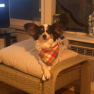 Meet your Posher, Lesa